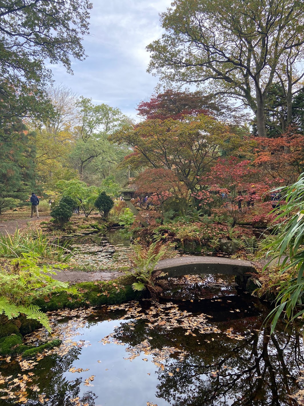 Zen.nl, Zen, meditatie, leren mediteren, Jeroen Verstappen, zentuin, studiereis, Kyoto, Japan